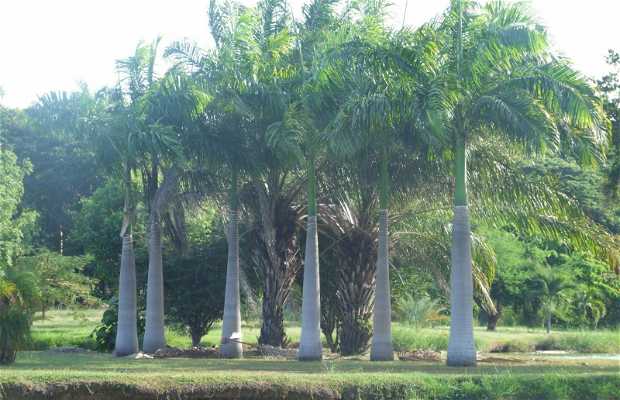 Jardín Botánico del Orinoco