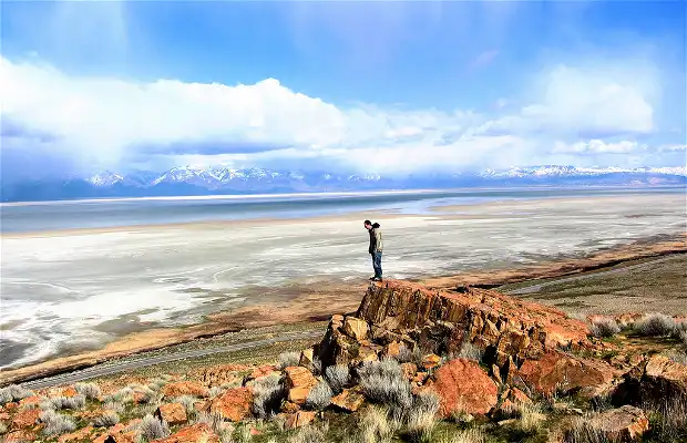 are dogs allowed on antelope island
