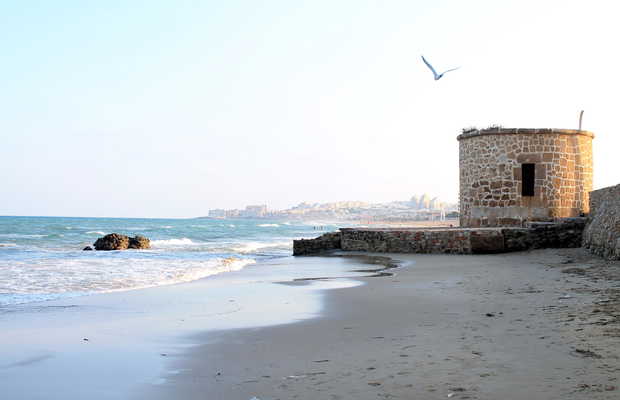 Photos Plage de la Mata Plage de la Mata