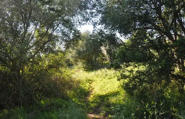 Fotos Sierra de Alor Sierra de Alor