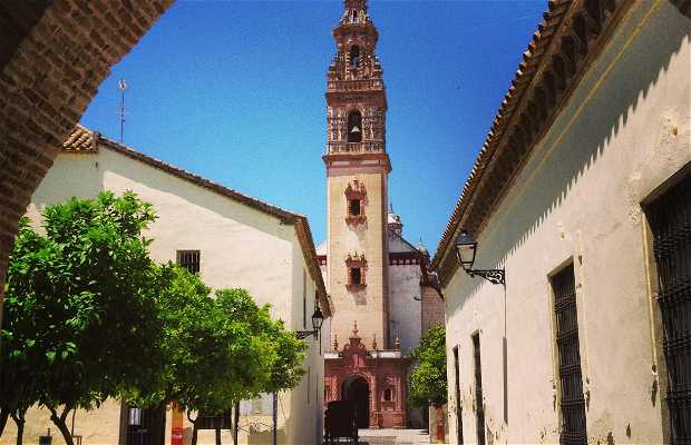 Iglesia de la Asunción en Palma del Río: 4 opiniones y 13 fotos
