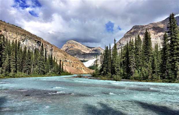 Berg Lake Trail in Mount Robson: 1 reviews and 29 photos