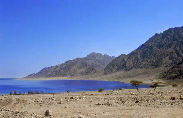 Nuweiba Beach in Nuweiba: 2 reviews and 4 photos