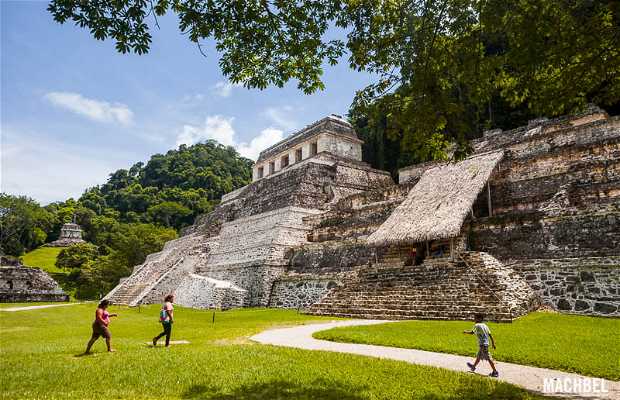 Ruines Mayas de Palenque à Palenque: 56 expériences et 687 photos