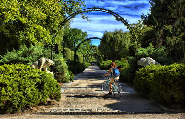 What to See in El Retiro Park