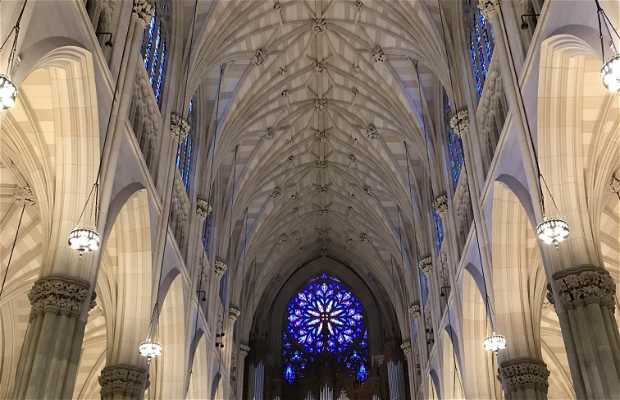 Catedral de San Patricio en Nueva York: 46 opiniones y 316 fotos