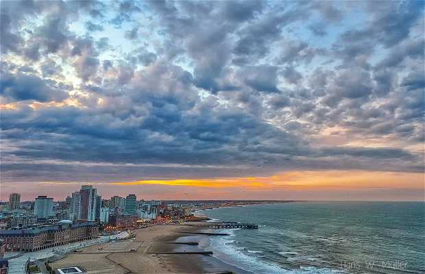Mar del Plata en Mar del Plata: 67 opiniones y 187 fotos