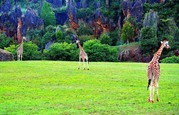 Photos Parc Naturel de Cabarceno Parc Naturel de Cabarceno