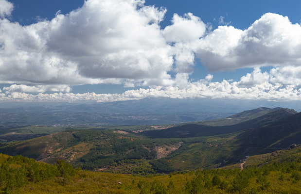 Mirador Paso de los Lobos en El Cabaco: 2 opiniones y 11 fotos