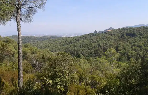 Photos Parc de Collserola Parc de Collserola