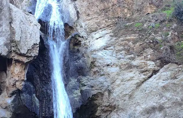 Paradise Falls