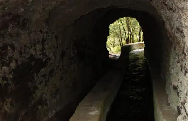 Fotos Ruta: Nacientes de Marcos y Cordero; Bosque de los Tilos Ruta: Nacientes de Marcos y Cordero; Bosque de los Tilos
