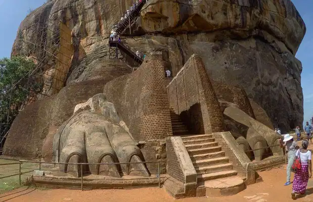 The Legs of the Lion Photos The Legs of the Lion