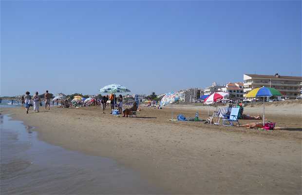 Playa Del Carregador En Alcoceber 5 Opiniones Y 13 Fotos
