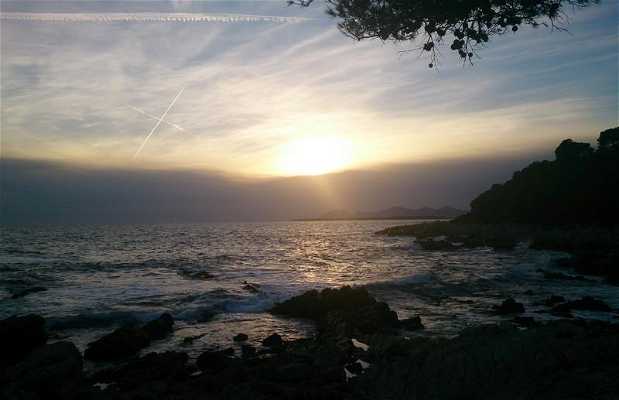 Coucher De Soleil Au Cap Dantibes à Antibes 1 Expériences