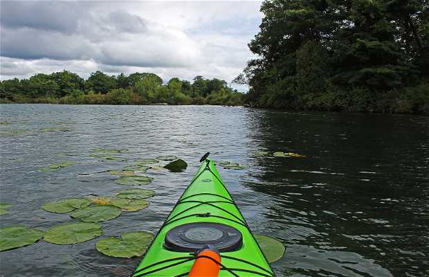 1000 Islands Kayaking in Gananoque: 1 reviews and 1 photos