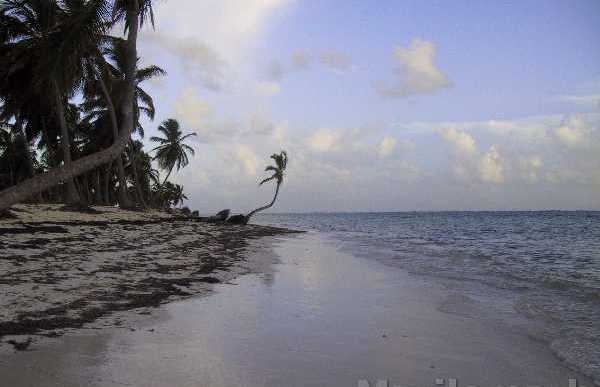 Cabeza De Toro Beach In Punta Cana 11 Reviews And 17 Photos