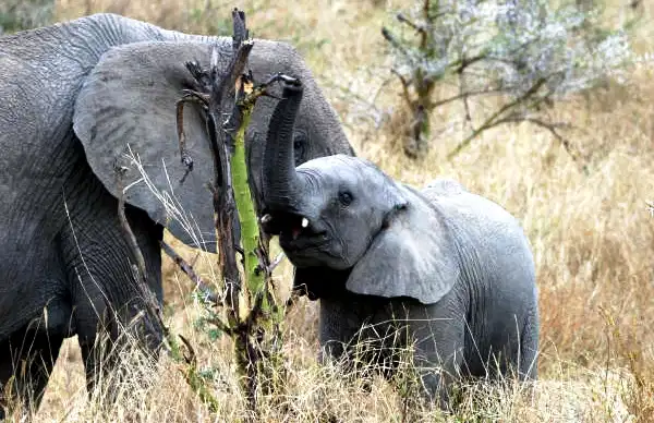 Fotos Nsumbu National Park Nsumbu National Park