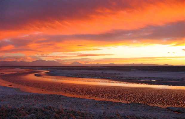Saline di Atacama a San Pedro de Atacama: 16 opinioni e 49 foto