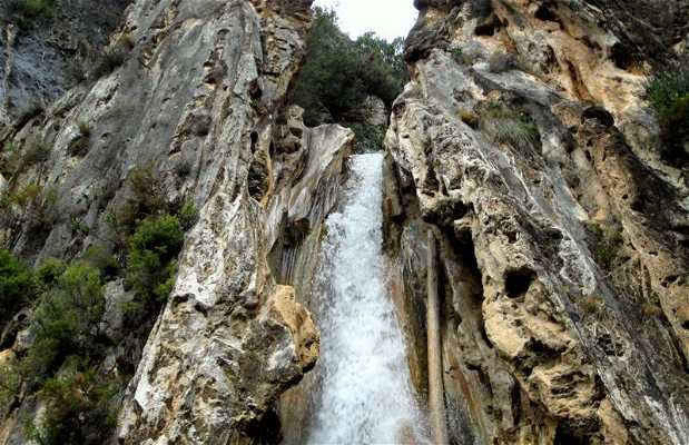 La Cascada de los Árboles Petrificados en Lentegí: 1 opiniones y 2 fotos