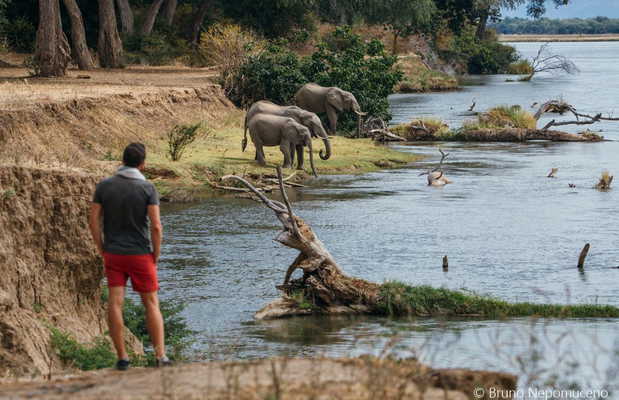 Rio Zambeze em Mana Pools National Park: 1 opiniões e 6 fotos